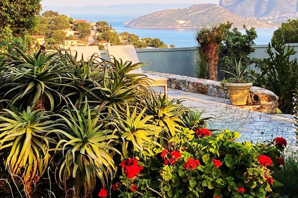 Villa-agave , By The Sea In Porto-rafti Outside Athens Villa