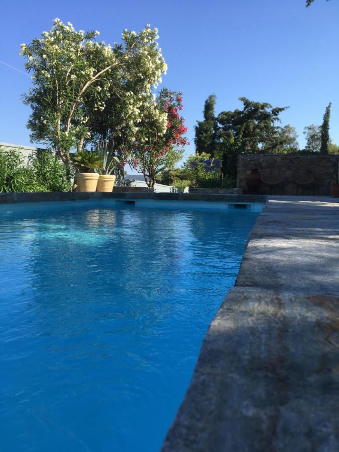Villa-agave , By The Sea In Porto-rafti Outside Athens