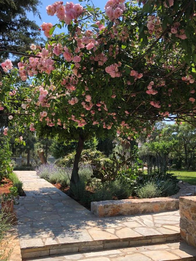 Villa Villa-agave , By The Sea In Porto-rafti Outside Athens *