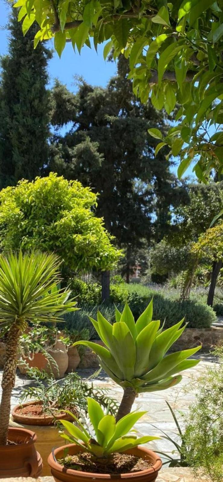 Villa-agave , By The Sea In Porto-rafti Outside Athens *