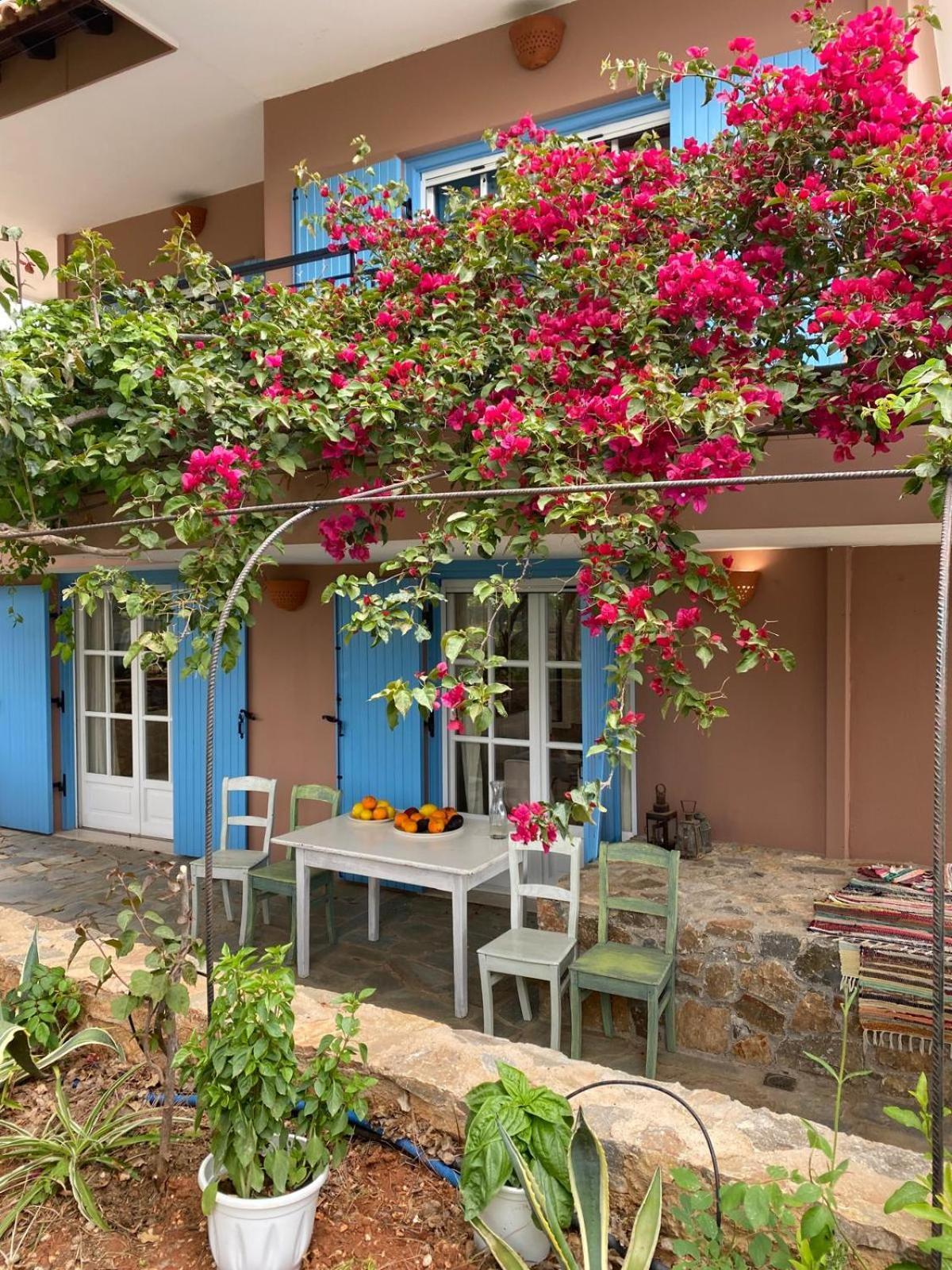 Villa Villa-agave , By The Sea In Porto-rafti Outside Athens